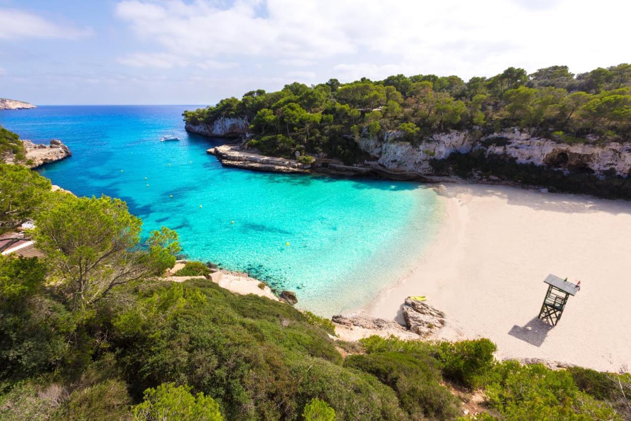 Apartment Assimetric - Only 100m To Alcudia (Mallorca)
